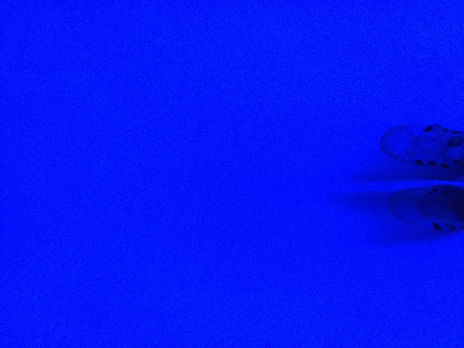 and-Blue Sued Shoes